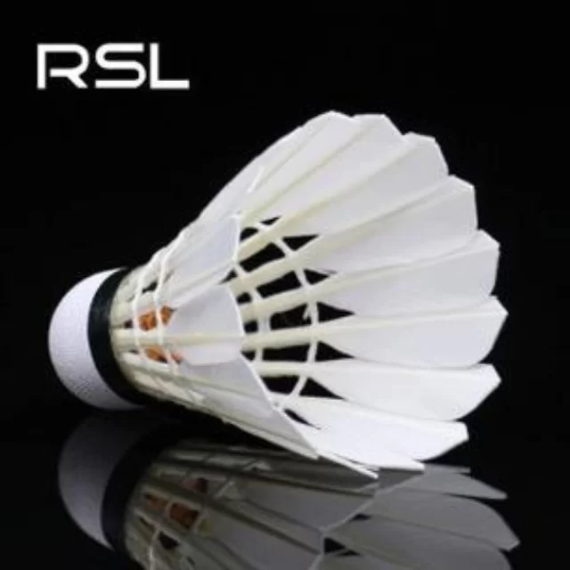 羽毛球团体赛战术剖析：第736组对决前瞻